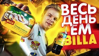 Весь день ем продукты BILLA / Вкусный Бомж обед из магазина БИЛЛА