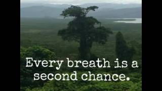 What Would They Say - Paul Williams