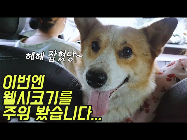 הגיית וידאו של kyung-mi בשנת אנגלית