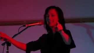 Your Wish Is My Wish (live) - Sarah Slean 2013