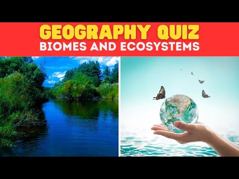 Brainpop Ecosystems Quiz Answers