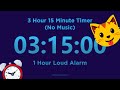 3 Hour 15 minute Timer Countdown (No Music) + 1 Hour Loud Alarm