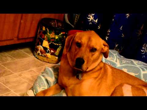 Aster on Gabapentin part 2