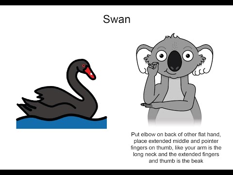 Nelson Park Communication Board Key Word Sign tutorial - Swan