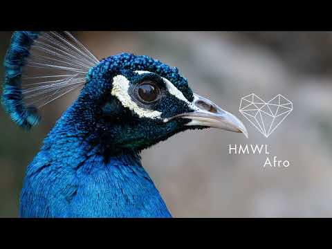 ARYMÉ, Peace Control feat SYON - Be the One (Radio Edit) [Afro House 2025/Deeproot]