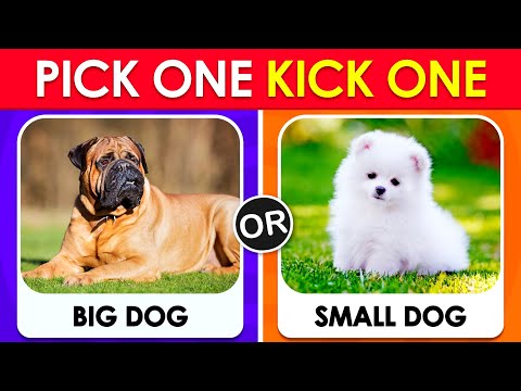 Pick One Kick One - Dogs Edition 🐶✅❌