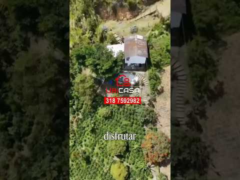 🌿 ¡FINCA 📐 ÁREA: 17.000 M2🌱 PRODUCCIÓN 100% PRODUCTIVA:🍫 CACAO PREMIUN 🏡 WhatsApp: 318 759 2982