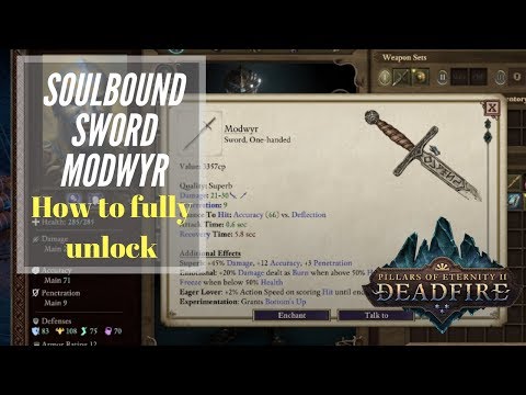 Unlocking the SoulBound Sword Modwyr - Pillars Of Eternity 2: Deadfire