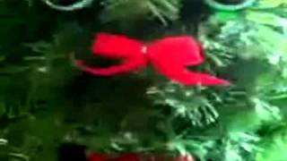 Wild Man Fischer-I'm A Christmas Tree