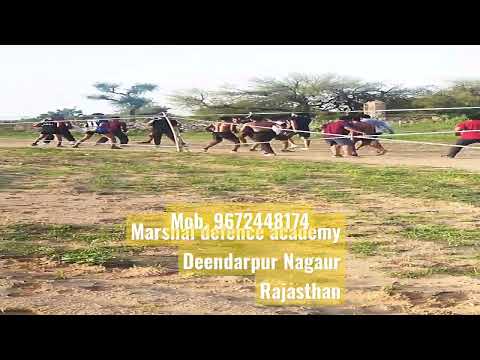 Video 4