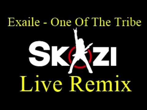 One Of The Tribe - Dj Skazi