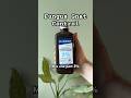Bye fungus gnats! 🪰 Try this hydrogen peroxide soil hack for healthy, gnat-free plants! 🪴 #plants