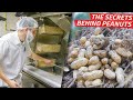 How A Top American Peanut Company Produces Millions Of Nuts Per Year Dan Does