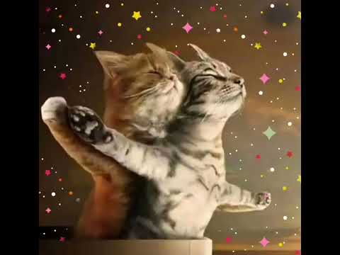 tere bin lamha khali sa 😍🥰😘😍😘😜😝😛🤪👍👍👍👍👍🙏🙏🙏🙏🙏🙏🙏😻😻😻😻😸😸😹😻😹😹😹😻😹😆😆😄😃😀😃😄😄😆