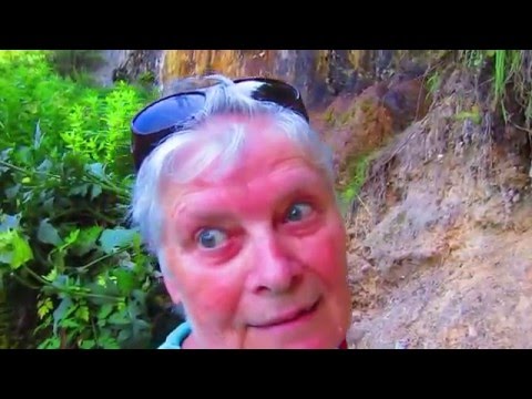 Cascada Pișoaia 2015 iulie 21