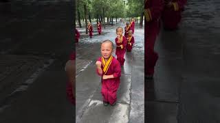 Download lagu Shaolin Kids Very Hard Kung Fu Training Techniques 💖🤗🤩 #shorts #shaolin #wushu mp3 Download lagu Shaolin Kids Very Hard Kung Fu Training Techniques 💖🤗🤩 #shorts #shaolin #wushu mp3