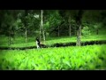 Koto Dur Video Song By Tahsan নীল প্রজাপতি (2013) HQ Bangla ...