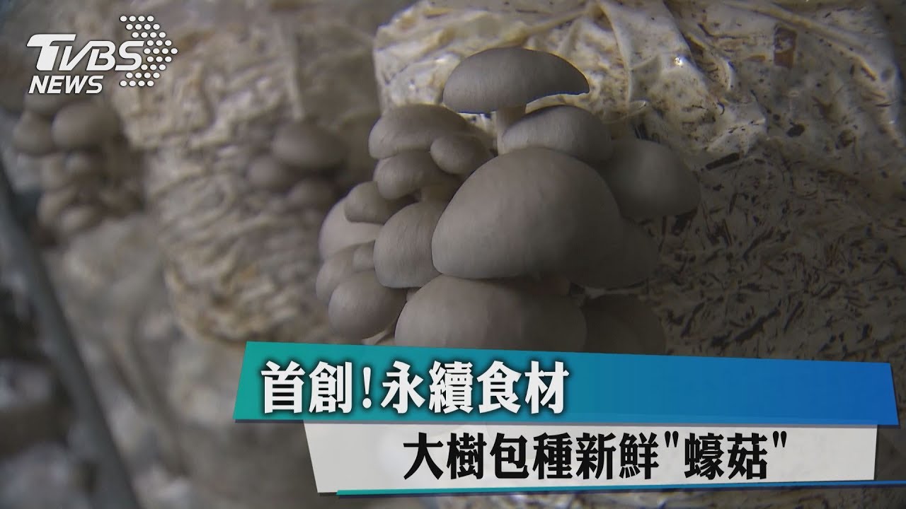 首創!永續食材 大樹包種新鮮「蠔菇」