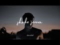 Shake Senora Slowed Reverb