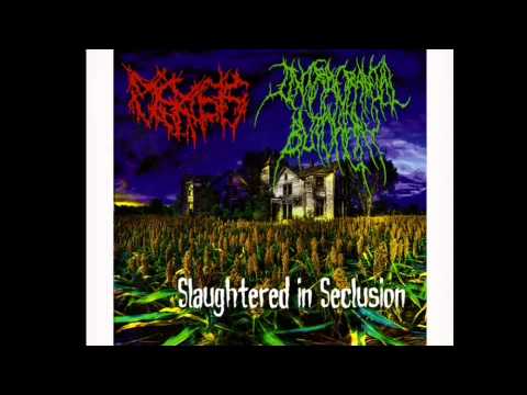Intracranial Butchery / Plerosis splitalbum:Slaughtered in Seclusion (full split albun)