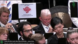 Download lagu Poetic Intermezzo - James Barnes - Castle Hill RSL North West Wind Ensemble mp3