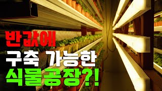 식물공장 반값에 구축 가능한 방법!!ㅣ 식물공장 구축 노하우 공개 ㅣ 특허받은 식물공장