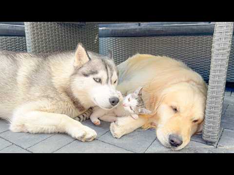YouTube 썸네일