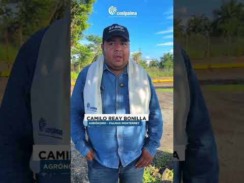 Mesa Fitosanitaria en Puerto Wilches, Santander