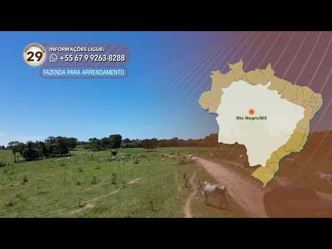 Terralmo 29: Fazenda para arrendamento de 800 cabeças de recria em Rio Negro/MS