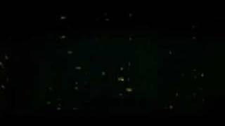 Slim - So Fly ft. Shawty Lo &amp; Yung Joc