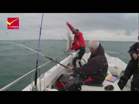 3. Lengfestival 2011 in Nautnes - 1. Tag: Die ersten Fische