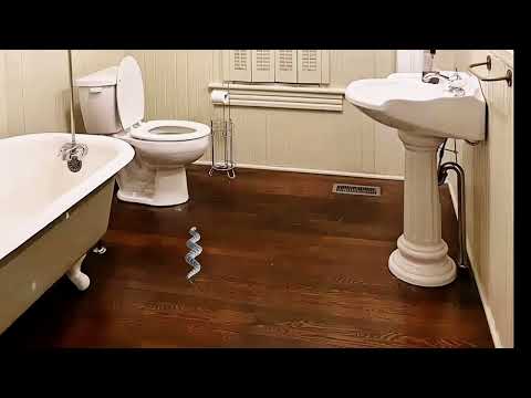 Snake in my bathroom #cobra #snake 