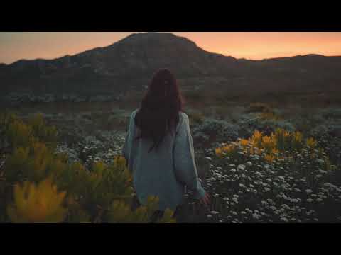 TRIIN NIITOJA - LEEKIDES ALLEE