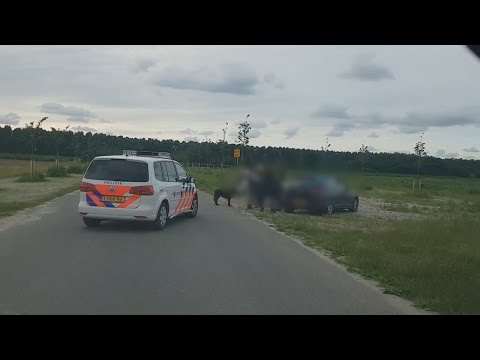 Vlog van vrijdag 8 juli - EINDELIJK! Daar is ie weer! :)