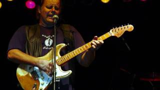 Walter Trout & The Free Radicals Chords