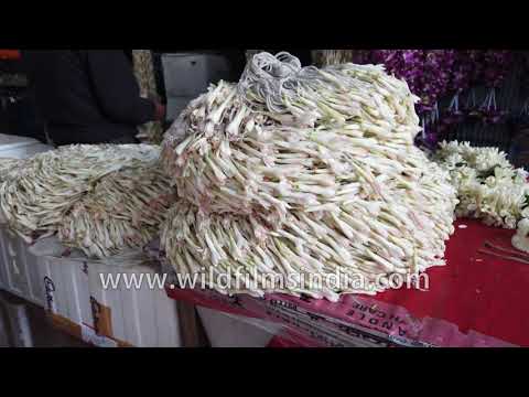 Ornamental flowers on wholesale at Ghazipur Mandi