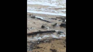 preview picture of video 'Plage de la bouillabaisse après les inondations'