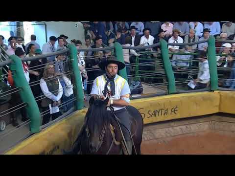 Final Freio de Ouro (RS) - 4º lugar machos - Peñarol da Boa Vista (prova: Mangueira II)