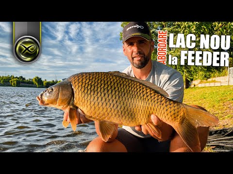 Abordarea unui lac nou in pescuitul la feeder - Premii in VIDEO - Pescuit la crap pe Tancabesti 2