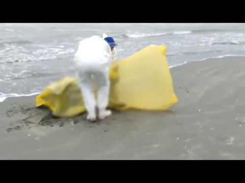 Știre ETV/ 27.10.2017 – MISTREȚI ADUȘI DE VALURI LA MAL