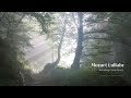 Clip 2