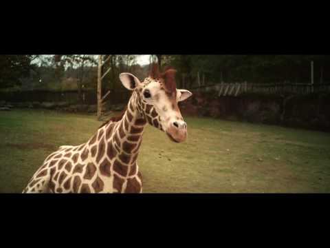 Dikkertje Dap de film