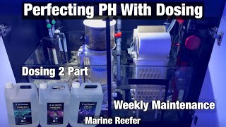 Perfecting PH in a Reef Tank With Dosing and Weekly Maintenance