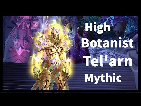 Fangs of Fenris vs High Botanist Tel'arn Mythic (Enhancement Shaman PoV)