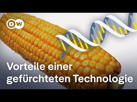 Warum hat grüne Gentechnik so einen schlechten Ruf? | Transformation der Wirtschaft