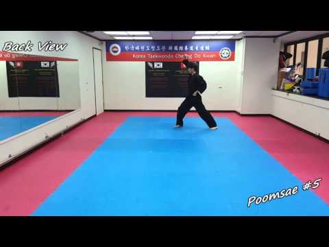 Taekwondo - Poomsae 5 (Oh Jang) Slow-motion & Mirror