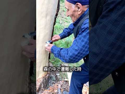 食べられる木の皮