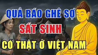 Quả Báo Ghê Sợ Khi Săn Bắt Sát Sinh – Chuyện Thật Khiến Ai Nghe Cũng Rợn Người | Nhân Quả Báo Ứng