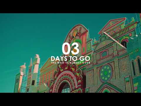 Only 72 Hours Between You and Magic | Deep Jungle Festival 2025