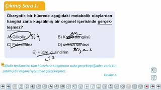 Eğitim Vadisi AYT Biyoloji 11.Föy Hücresel Solunum 1 Konu Anlatım Videoları